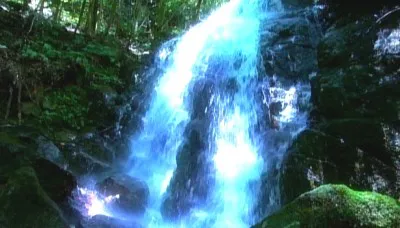 那智四十八滝の一つ「陰陽の滝」を訪れた堂本はその美しさに絶句