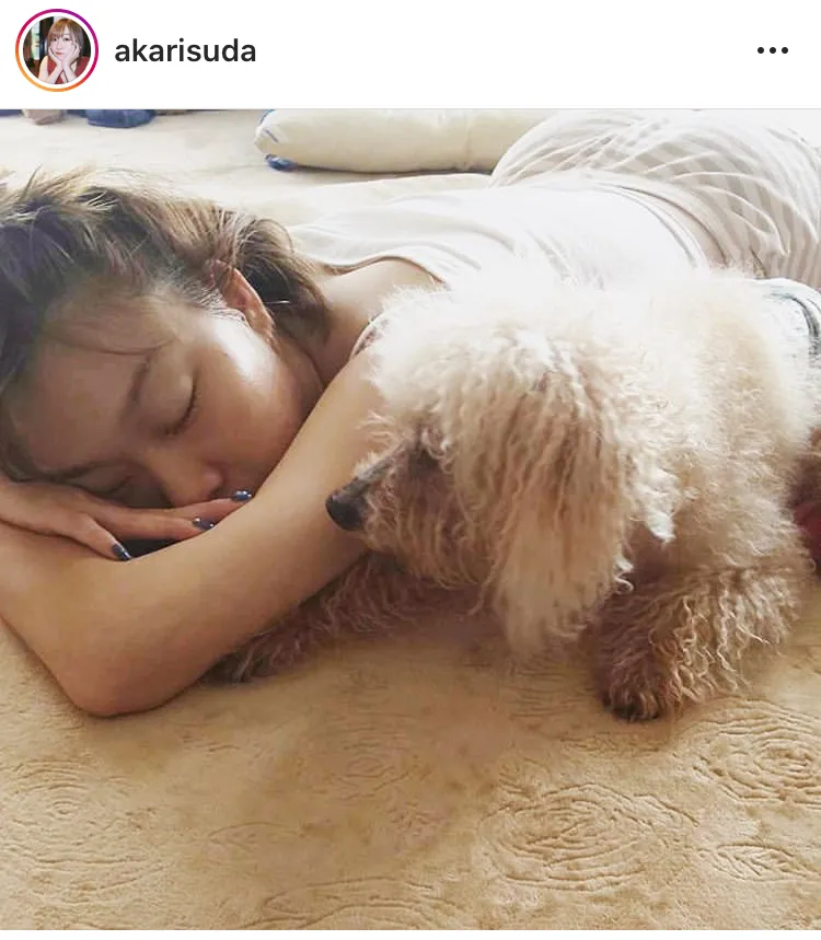 【写真を見る】愛犬とお昼寝中の須田亜香里。すっぴんの寝顔が可愛い(ほか軟体ポーズなど)
