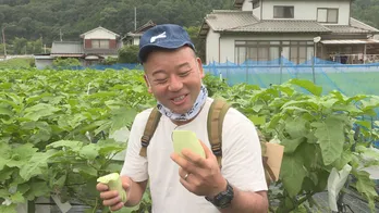 広島の珍しいブランド野菜をゲットして、バイきんぐ西村瑞樹がキャンプ飯作り＜西村キャンプ場＞