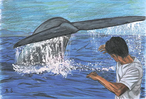 奇跡の生き物・シロナガスクジラを追う/カリフォルニア湾(メキシコ)