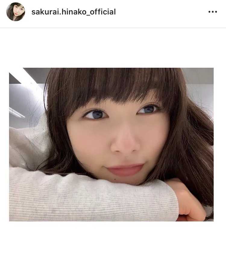 ※桜井日奈子オフィシャルInstagram(sakurai.hinako_official)のスクリーンショット