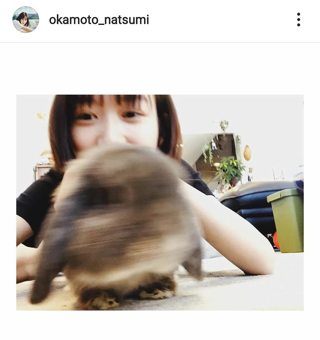 ※画像は岡本夏美(okamoto_natsumi)公式Instagramのスクリーンショット