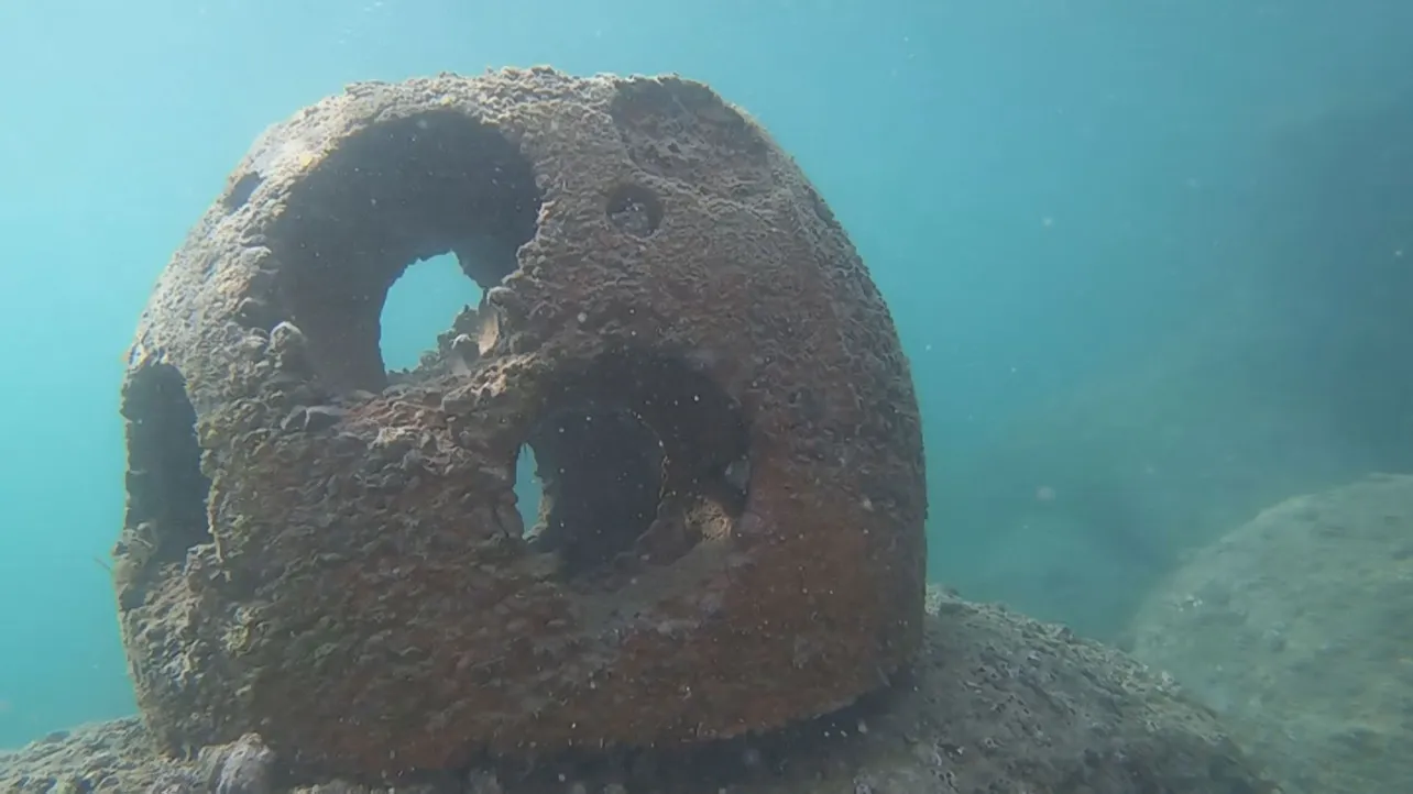 【写真を見る】海中に置かれた波消しのためのハイブリッド型リーフボール