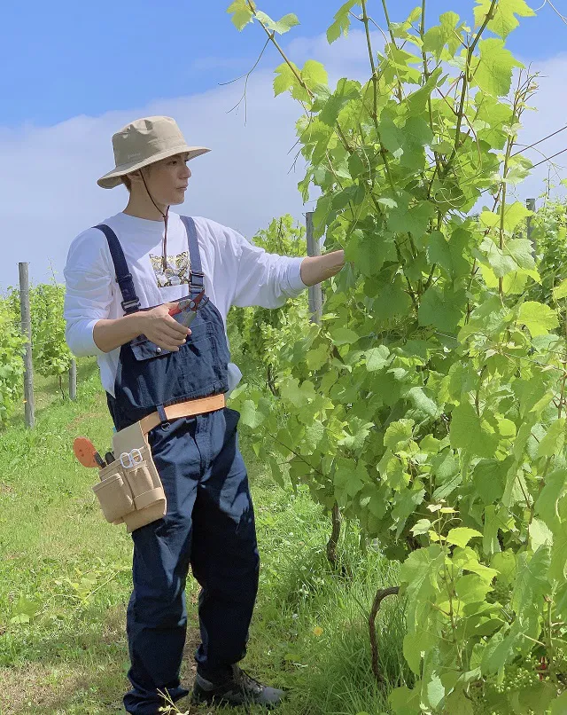 北海道余市町でワイン作りに挑戦するEXILE SHOKICHI　©UHB/LDH