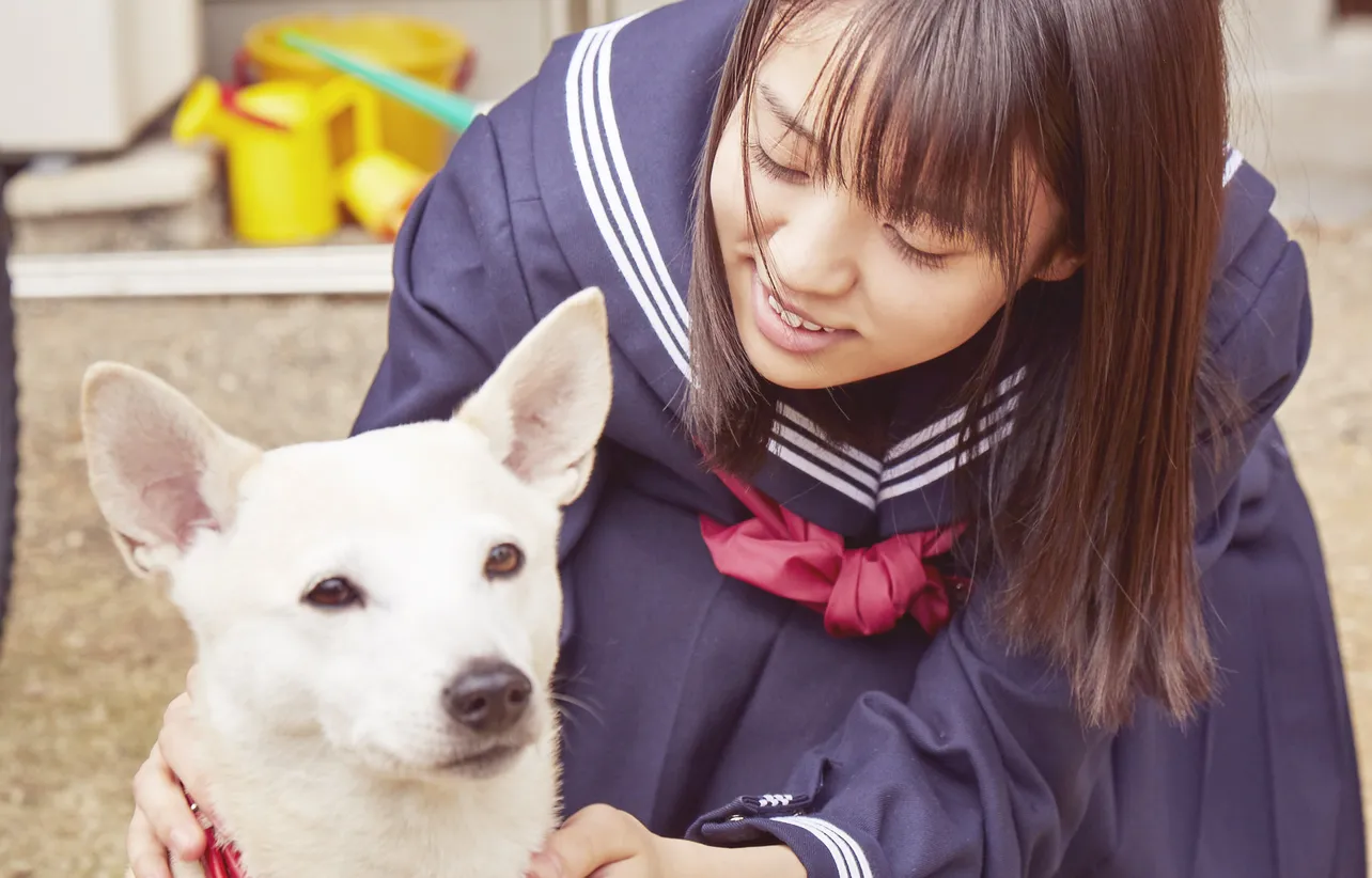 【写真を見る】長谷川家の愛犬・サクラと触れ合うほほ笑ましいカットも