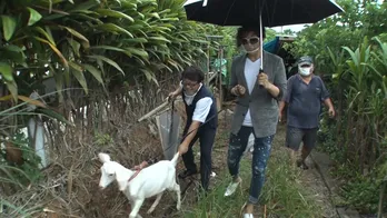 GACKTが30年ぶりに帰郷した沖縄での“恩返し”ロケでヤギ5頭を爆買い！