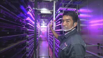 ノウハウが無い人も簡単に苗や小型野菜を栽培可能!コンテナ型栽培システム<世界一の九州が始まる!>