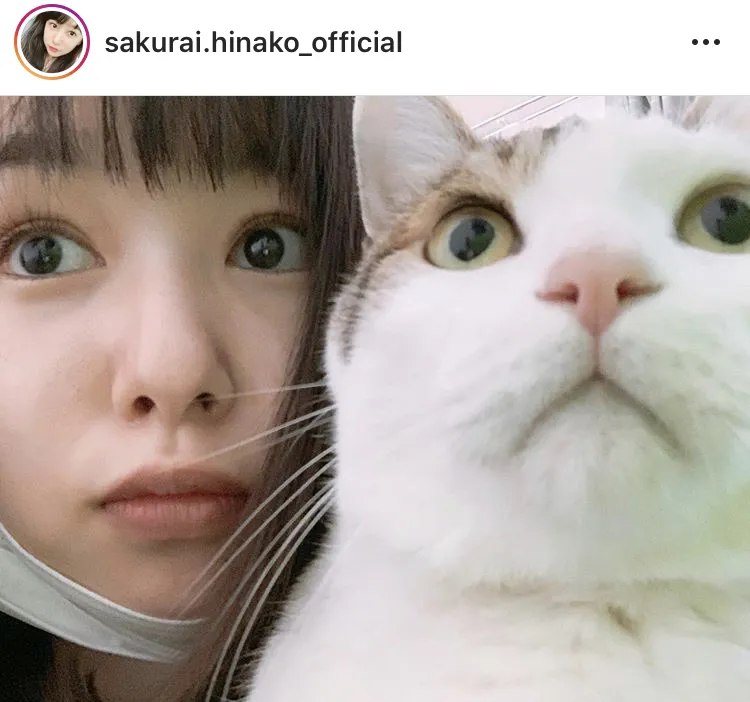 【写真を見る】実家の猫とうり二つ(？)の桜井日奈子(ほか、“オオカミポーズ”など10枚)