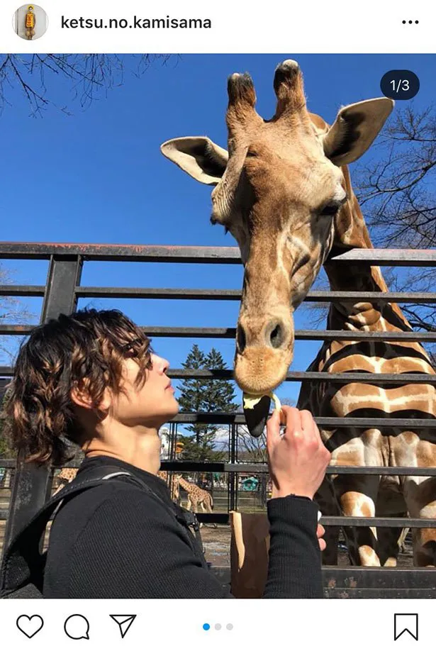 【写真を見る】動物園のキリンの横で美しい横顔を見せる樽美酒研二