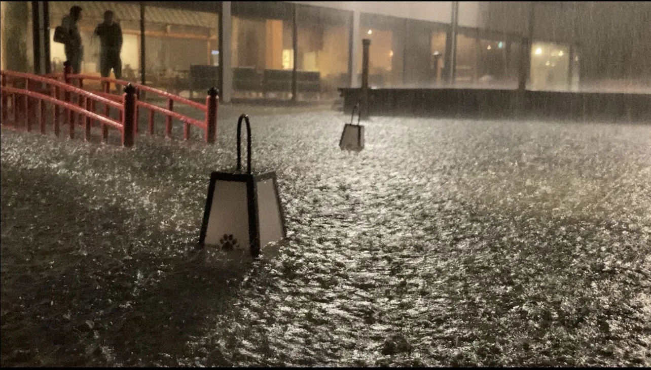 【写真を見る】旅館オープン直前、記録的豪雨で日本庭園演出が水没するというピンチに「テレメンタリー2020」より