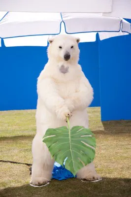 【写真】身長約190cmのリアルな白クマに、二宮らは大興奮