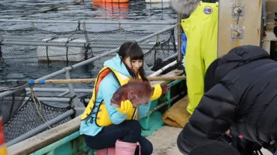 一見マダイがおとなしく静止しているように見えるが、この直後大きく暴れてしまう