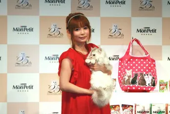 「あわよくばペロペロしたい!」しょこたんが大胆発言!