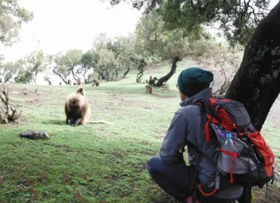 エジプトからさかのぼってナイル川の源流を探す旅に出る