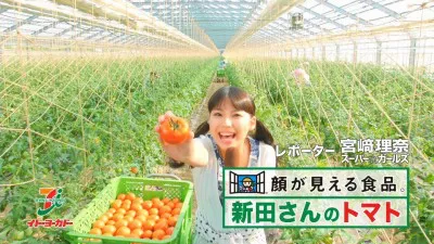 生産者の新田さんのトマト畑へ