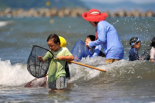 夏は海へ。小魚捕れたかな？