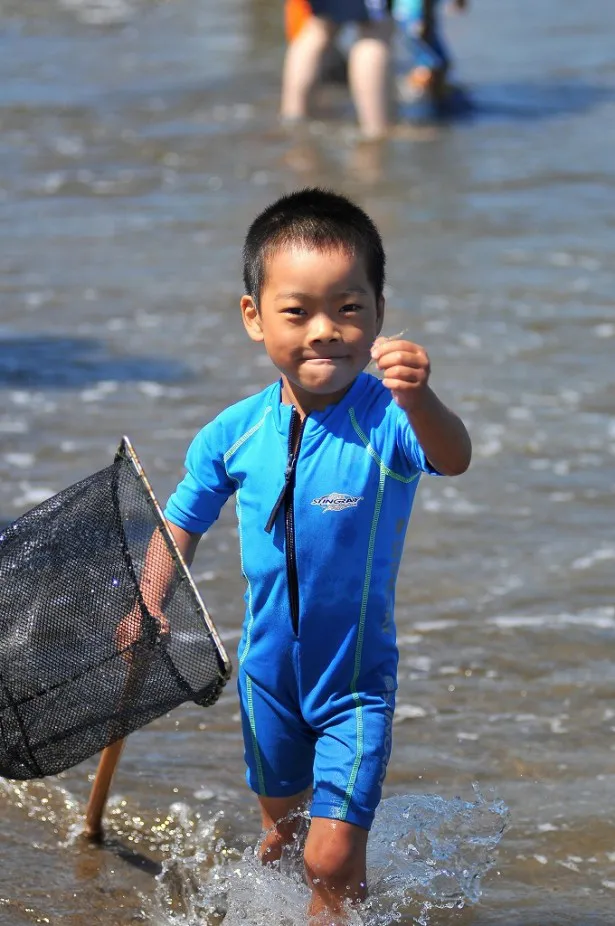 夏は海へ。小魚が捕れた！