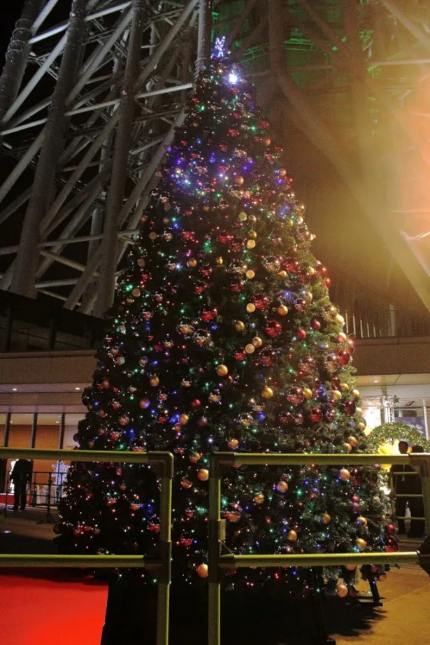 スカイアリーナにあるクリスマスツリー