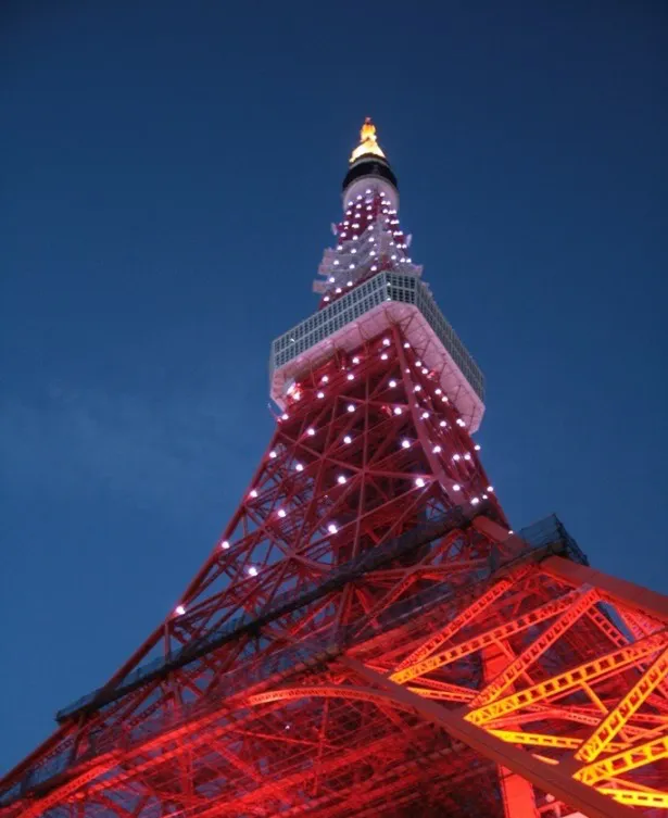「センター試験前日 受験生応援“サクラサク”ライトアップ」と題して夜空に光のサクラを咲かせた東京タワー