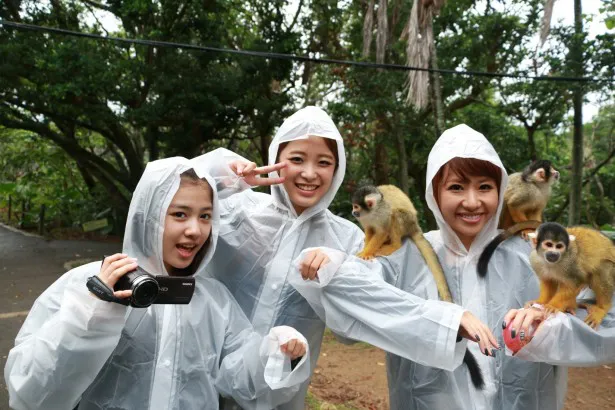 石垣島で猿に囲まれる3人