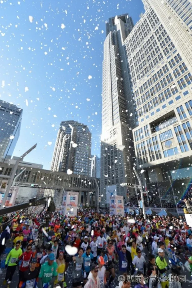 「東京マラソン2014」は2月23日(日)スタート！