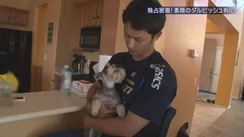 奪三振にこだわる理由からプライベート映像まで! ダルビッシュ有のドキュメンタリー番組が配信開始
