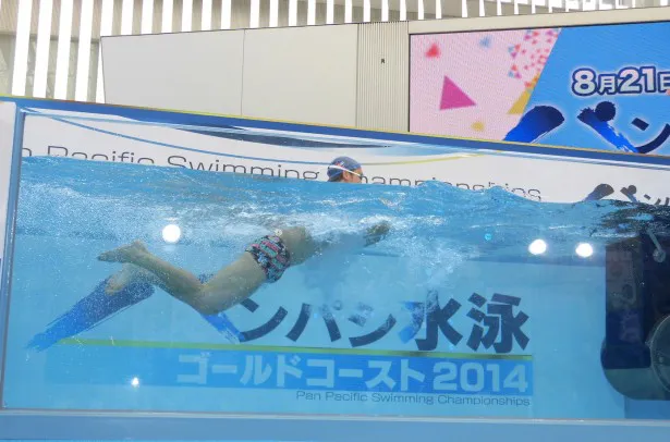 特設プールで平泳ぎをする冨田