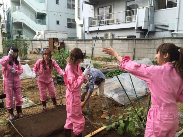 【写真を見る】初ロケで野菜作りに挑戦。農業高校出身のすぅの手つきにメンバーも感心