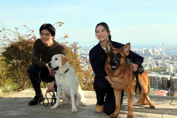 来年放送のドラマ「二十歳と一匹」で、災害救助犬のハンドラーとして成長していく菅田将暉演じる理人(左)と足立梨花演じるサラ(右)