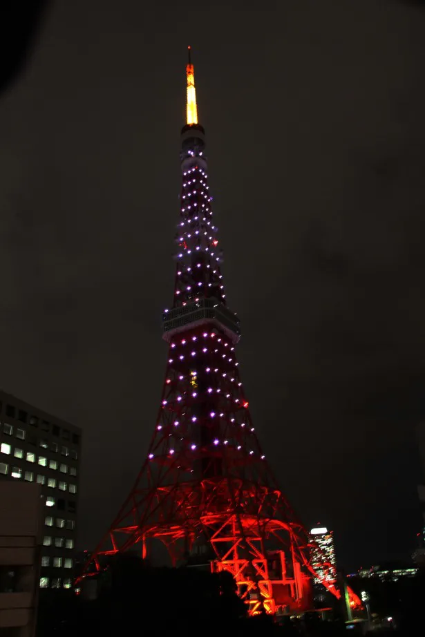 桜色に輝く東京タワー