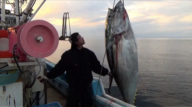 マグロに賭けた男たち が6年ぶりにゴールデンへ 画像5 9 芸能ニュースならザテレビジョン