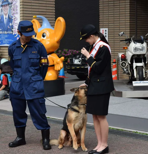 しまいには吉本にデレデレと甘える警察犬