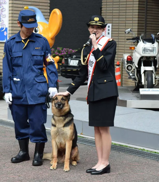 【写真を見る】展示訓練に参加した吉本は警察犬と仲良くカメラ目線で意思疎通もバッチリ!?