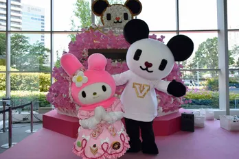 マイメロがゴーちゃん。の誕生日祝いにテレ朝に来場！