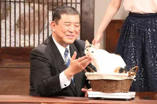 猫 の芸能ニュース検索結果 Webザテレビジョン