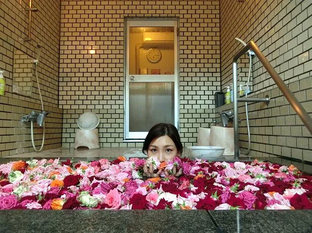 【写真を見る】はあちゅうの入浴写真も。バラに囲まれて広末を目指す