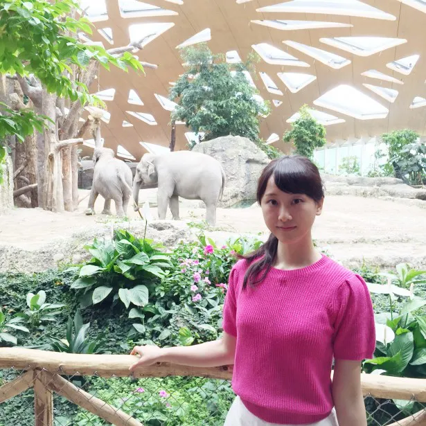 Ske卒業前の松井玲奈が動物園の飼育員に転職 Webザテレビジョン