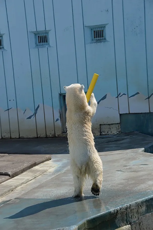 まるで人間が入っているかのよう…