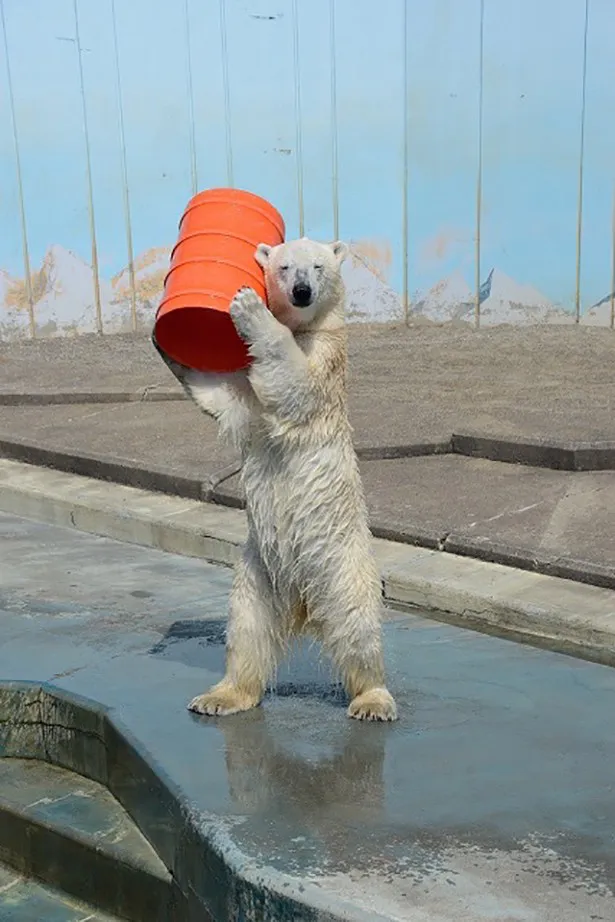 カメラ目線でポーズを決める