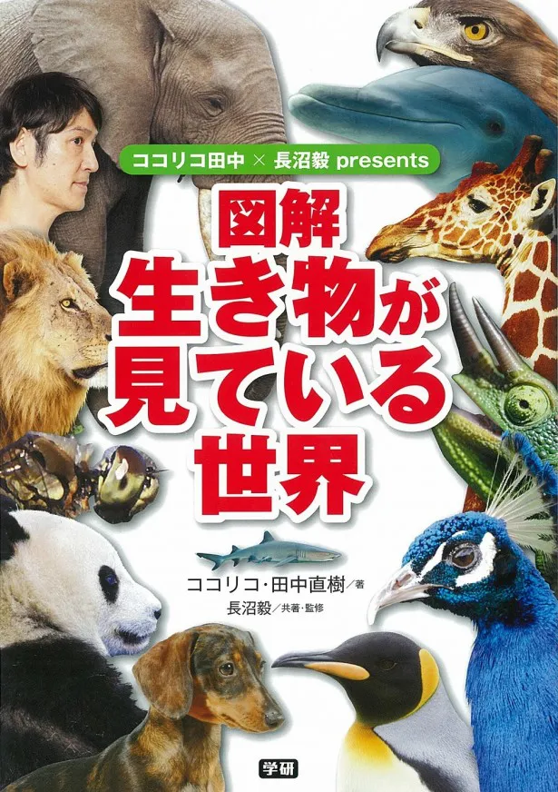 ココリコ・田中と長沼毅広島大学准教授が手掛けた動物図鑑「ココリコ田中×長沼毅presents 図解 生き物が見ている世界」は発売中)