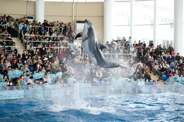 番組収録の舞台となるアクアワールド茨城県大洗水族館