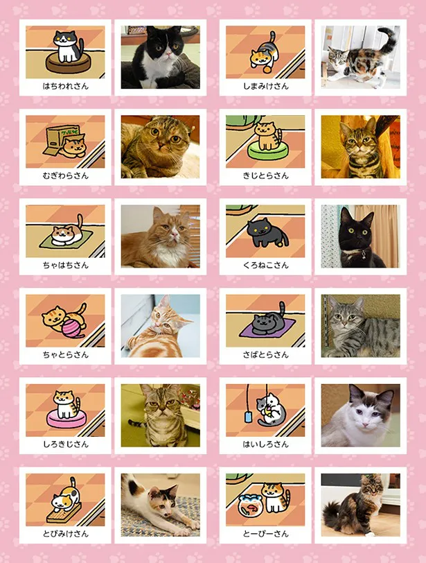 【写真を見る】「ねこあつめ」のねこと、同じ種類の“リアルねこ”が登場