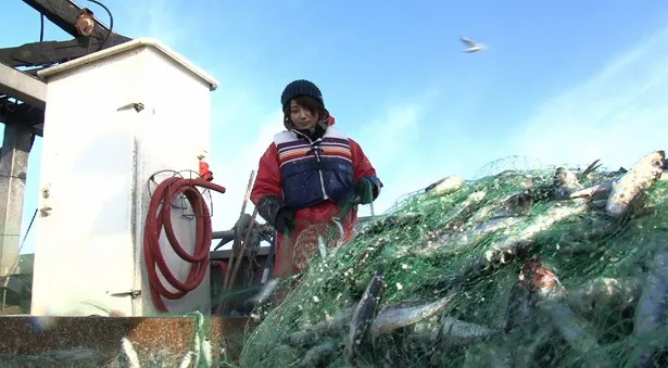 久野アナがバルト海でニシン漁を体験！
