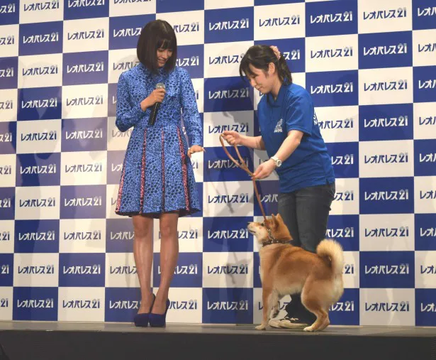 続いてCMで共演した柴犬が登壇！