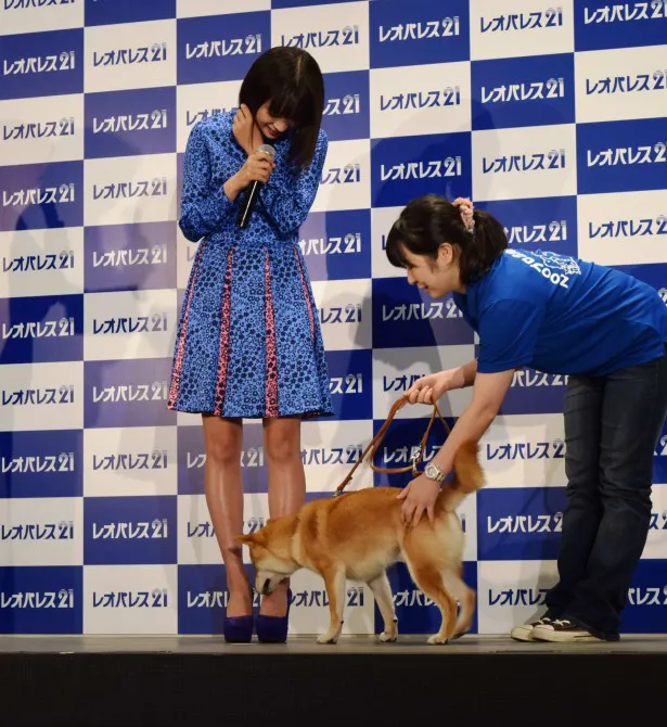 現場でもじゃれ合っていただけあり、犬は広瀬の美脚をいきなり舐め始める