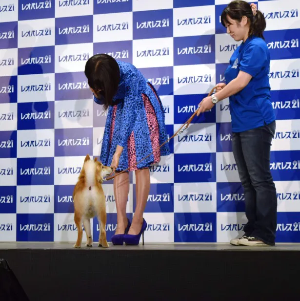 お返しに頭や顔をなでる広瀬は「お久しぶり～」とあいさつしていた