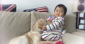 画像 人間の赤ちゃん イヌ ネコのコラボに癒やされよう 3 3 Webザテレビジョン