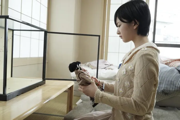 「AKBホラーナイト　アドレナリンの夜」の第8話はNMB48の須藤凜々花が主演を務める