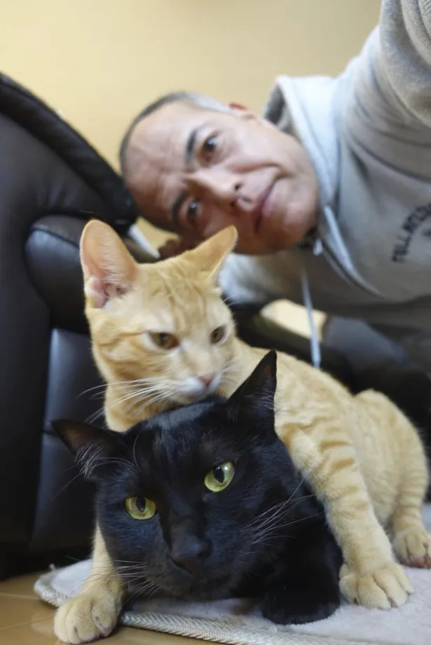 【写真を見る】実生活でも大の猫好きだという田中要次と猫たち