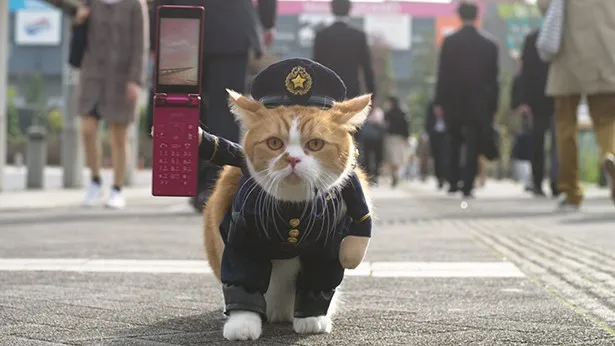 ふてニャン「猫のお巡りさん」姿で平祐奈にプロポーズ | WEBザテレビジョン